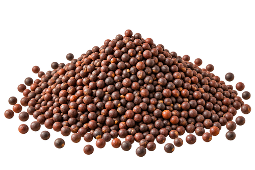Seeds